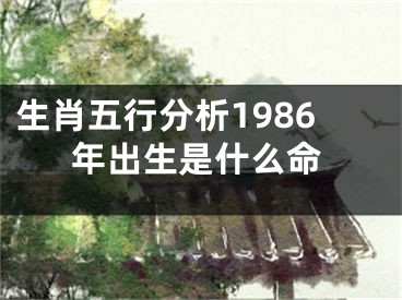 生肖五行分析1986年出生是什么命