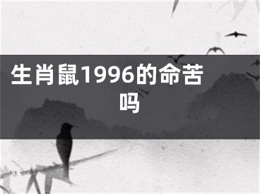 生肖鼠1996的命苦吗