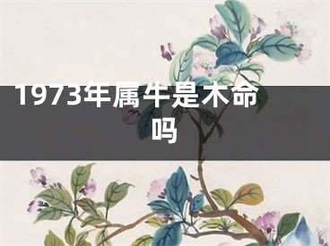 1973年属牛是木命吗