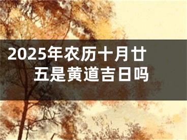 2025年农历十月廿五是黄道吉日吗