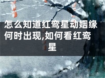 怎么知道红鸾星动姻缘何时出现,如何看红鸾星