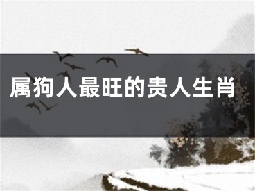 属狗人最旺的贵人生肖