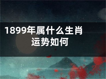 1899年属什么生肖 运势如何
