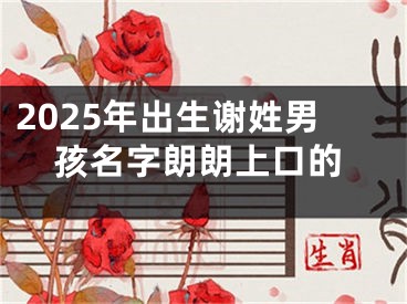 2025年出生谢姓男孩名字朗朗上口的