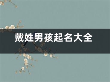 戴姓男孩起名大全
