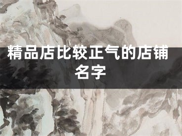 精品店比较正气的店铺名字
