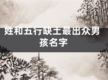 姓和五行缺土最出众男孩名字