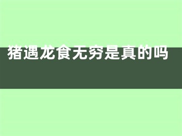 猪遇龙食无穷是真的吗 