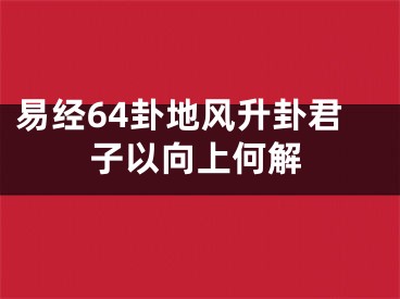 易经64卦地风升卦君子以向上何解