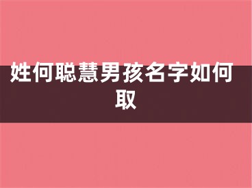 姓何聪慧男孩名字如何取