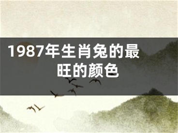1987年生肖兔的最旺的颜色