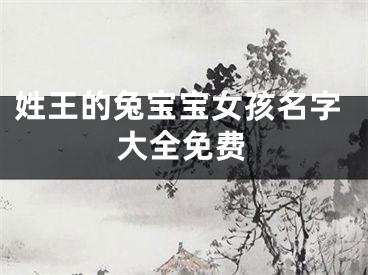 姓王的兔宝宝女孩名字大全免费