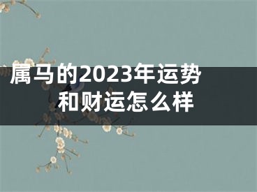 属马的2023年运势和财运怎么样