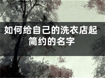 如何给自己的洗衣店起简约的名字