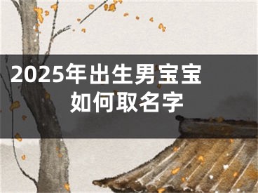 2025年出生男宝宝如何取名字
