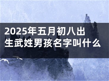 2025年五月初八出生武姓男孩名字叫什么