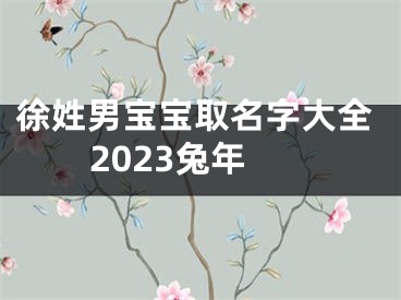 徐姓男宝宝取名字大全2023兔年