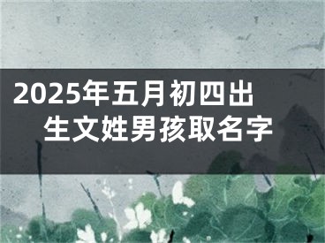 2025年五月初四出生文姓男孩取名字