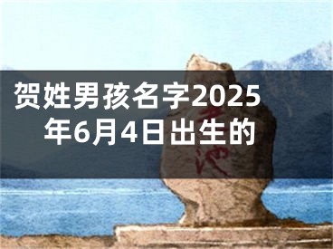 贺姓男孩名字2025年6月4日出生的