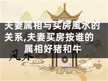 夫妻属相与买房風水的关系,夫妻买房按谁的属相好猪和牛