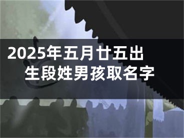 2025年五月廿五出生段姓男孩取名字