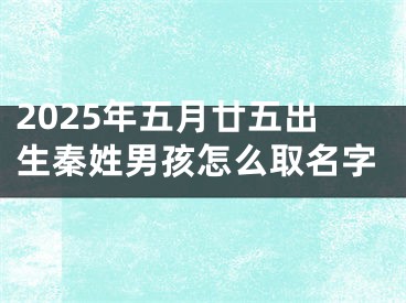 2025年五月廿五出生秦姓男孩怎么取名字