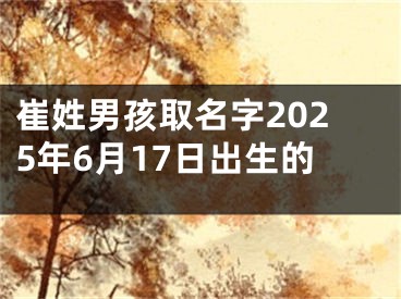 崔姓男孩取名字2025年6月17日出生的