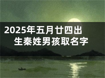 2025年五月廿四出生秦姓男孩取名字