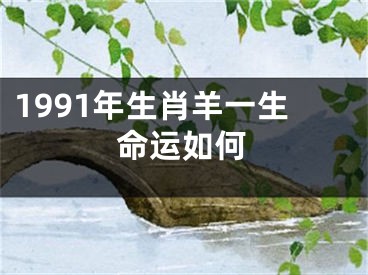 1991年生肖羊一生命运如何