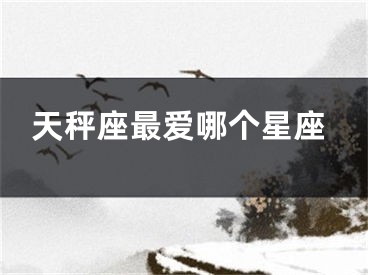 天秤座最爱哪个星座