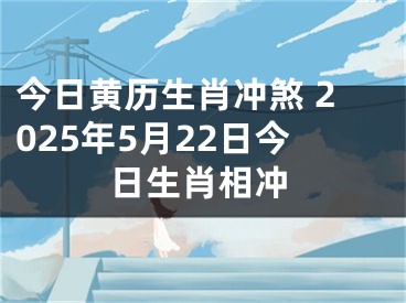 今日黄历生肖冲煞 2025年5月22日今日生肖相冲