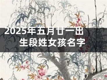 2025年五月廿一出生段姓女孩名字