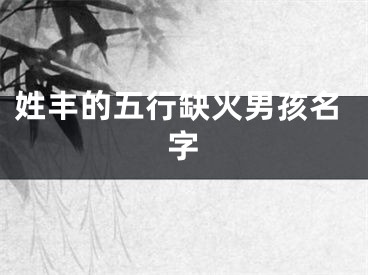 姓丰的五行缺火男孩名字