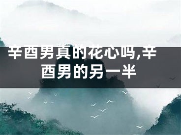 辛酉男真的花心吗,辛酉男的另一半