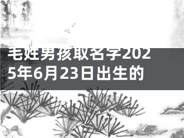 毛姓男孩取名字2025年6月23日出生的