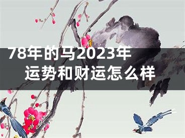 78年的马2023年运势和财运怎么样