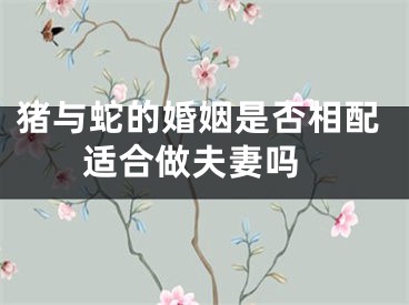 猪与蛇的婚姻是否相配 适合做夫妻吗