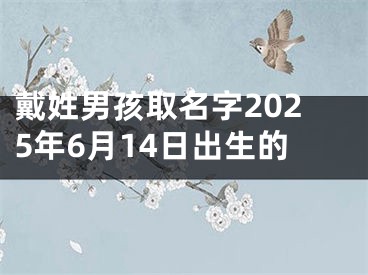 戴姓男孩取名字2025年6月14日出生的