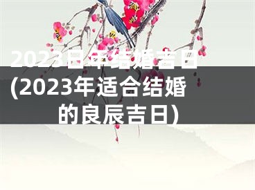 2023日年结婚吉日(2023年适合结婚的良辰吉日)