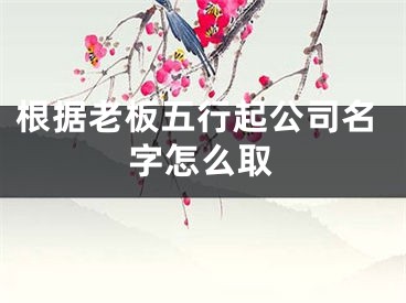根据老板五行起公司名字怎么取