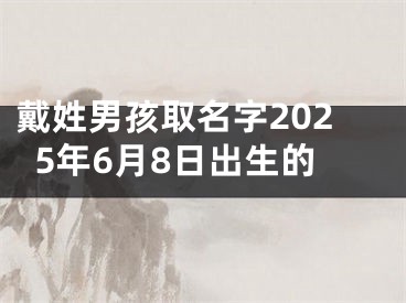 戴姓男孩取名字2025年6月8日出生的