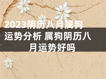 2023阴历八月属狗运势分析 属狗阴历八月运势好吗