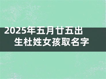2025年五月廿五出生杜姓女孩取名字