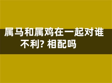 属马和属鸡在一起对谁不利? 相配吗