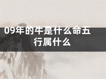 09年的牛是什么命五行属什么