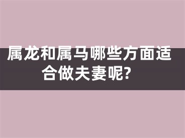 属龙和属马哪些方面适合做夫妻呢?