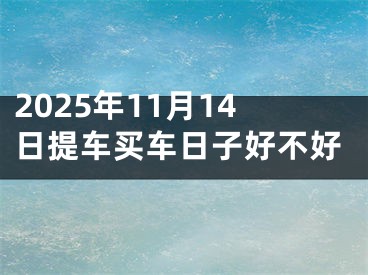 2025年11月14日提车买车日子好不好