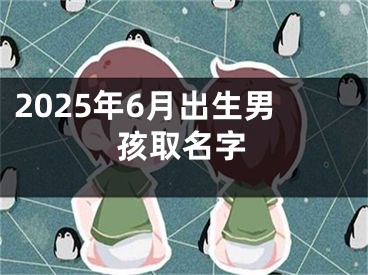 2025年6月出生男孩取名字