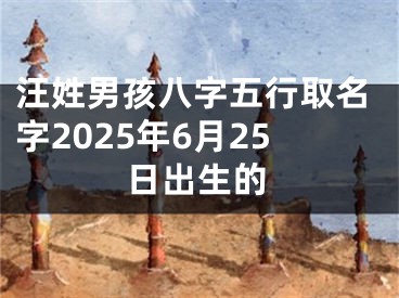汪姓男孩八字五行取名字2025年6月25日出生的
