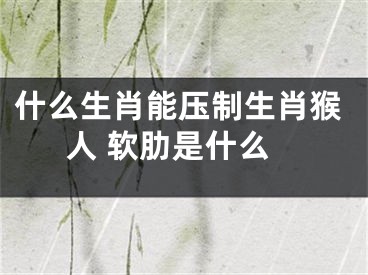 什么生肖能压制生肖猴人 软肋是什么